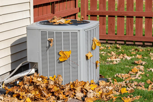 Best HVAC Tune-Up Services  in Dillingham, AK